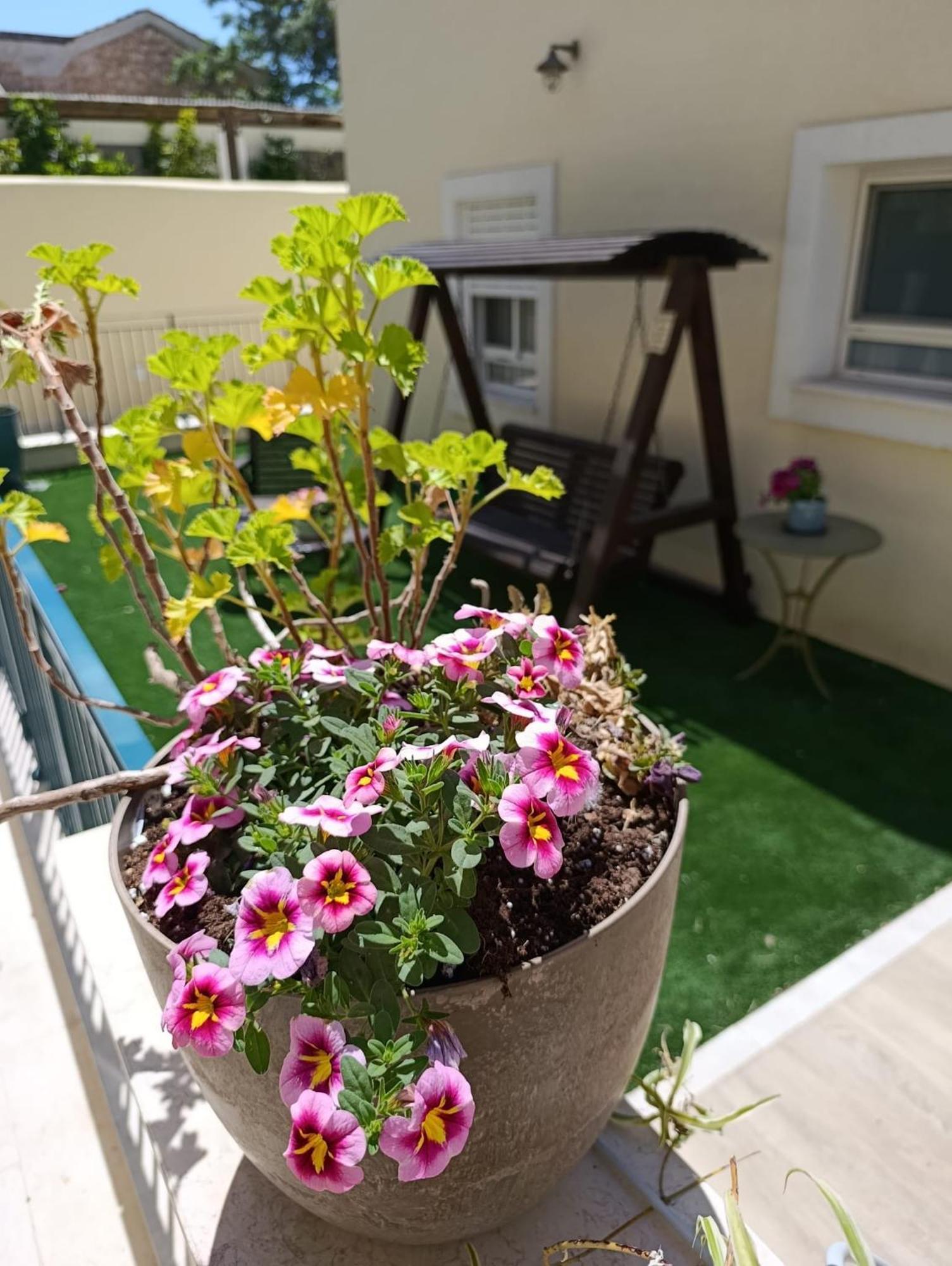 49 Boutique Villa Zikhron Ya‘akov Værelse billede